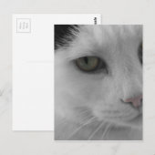 Zwart-witte katten gezicht briefkaart (Voorkant / Achterkant)