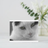 Zwart-witte katten gezicht briefkaart (Staand voorkant)