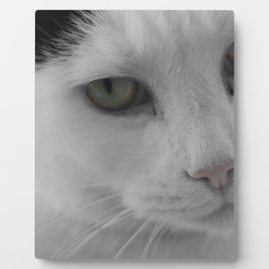 Zwart-witte katten gezicht fotoplaat (Voorkant)