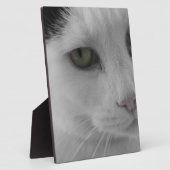 Zwart-witte katten gezicht fotoplaat (Zijkant)