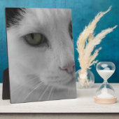 Zwart-witte katten gezicht fotoplaat (Zijkant)