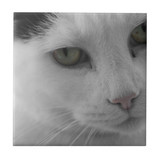Zwart-witte katten gezicht tegeltje (Voorkant)