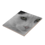 Zwart-witte katten gezicht tegeltje (Zijkant)
