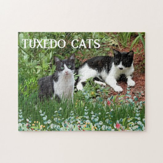 Zwart-witte katten in bloementuin legpuzzel (Horizontaal)