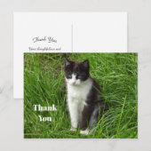 Zwart-witte kattenfoto bedankt briefkaart (Voorkant / Achterkant)