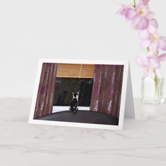 Zwart-witte keuken op het raam kaart (Orchidee)