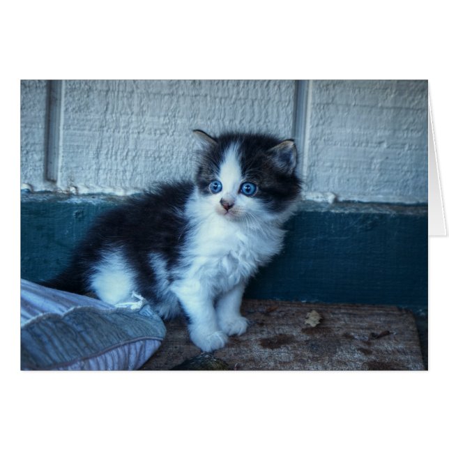 Zwart + Witte Keuten (Voorkant Horizontaal)