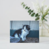 Zwart + Witte Keuten Briefkaart (Staand voorkant)