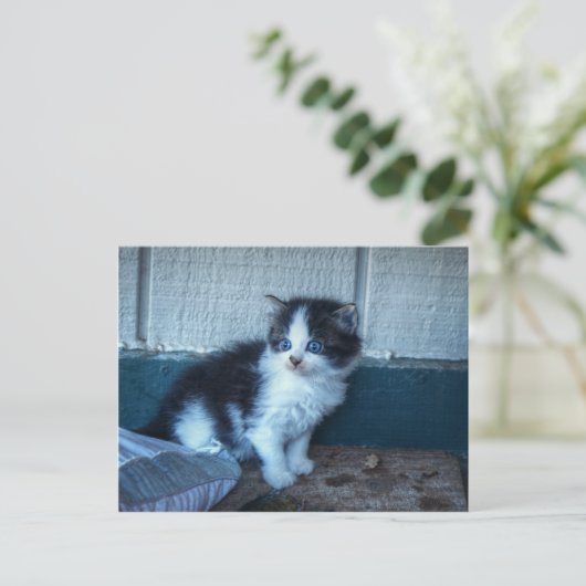 Zwart + Witte Keuten Briefkaart (Staand voorkant)