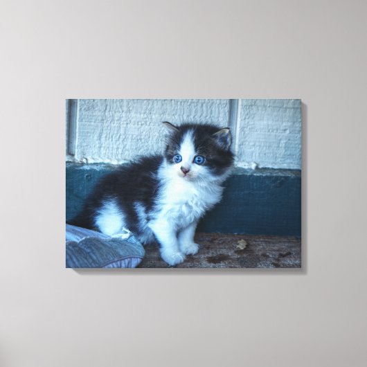 Zwart + Witte Keuten Canvas Afdruk (Voorkant)