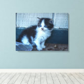 Zwart + Witte Keuten Canvas Afdruk (Insitu (Houten vloer))