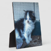 Zwart + Witte Keuten Fotoplaat (Zijkant)