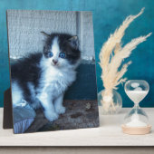 Zwart + Witte Keuten Fotoplaat (Zijkant)
