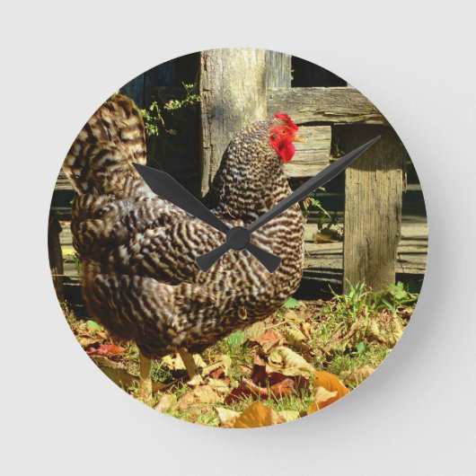 Zwart-witte Kip Ronde Klok (Voorkant)