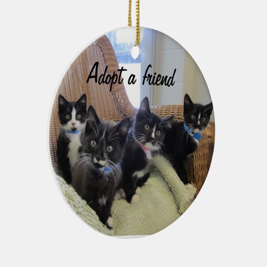 Zwart-witte Kittens Keramisch Ornament (Rechts)