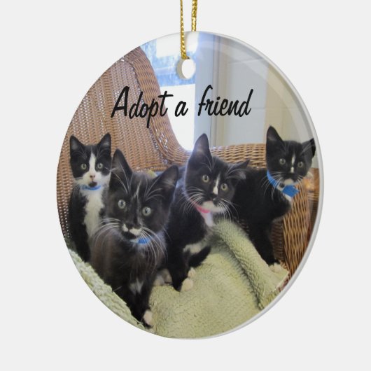 Zwart-witte Kittens Keramisch Ornament (Links)