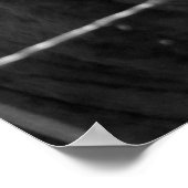 Zwart-witte Koe achter Barbed Wire Fence 16x20 Poster (Hoek)