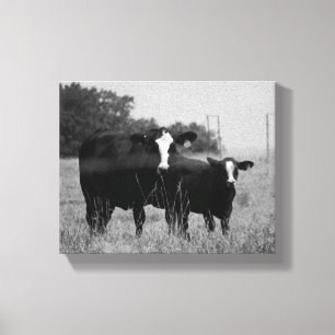 Zwart-witte Koe met haperingen 8x10 Canvas Afdruk