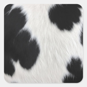 zwart witte koe textuur vacht huid leer dier ha vierkante sticker