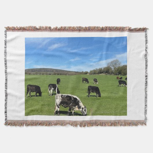 Zwart-witte Koeien grazen in velddeken gooien Deken (Voorkant)