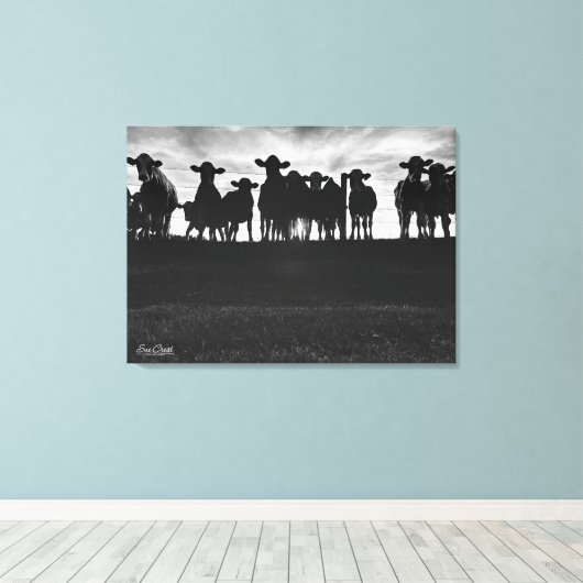 Zwart-witte Koeien langs hek Canvas Afdruk (Insitu (Houten vloer))