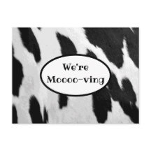 Zwart-witte Koeienhuid Verplaatsende aankondiging 