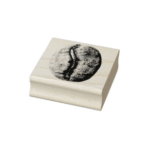 Zwart-witte koffie bonen potlood tekening rubberstempel