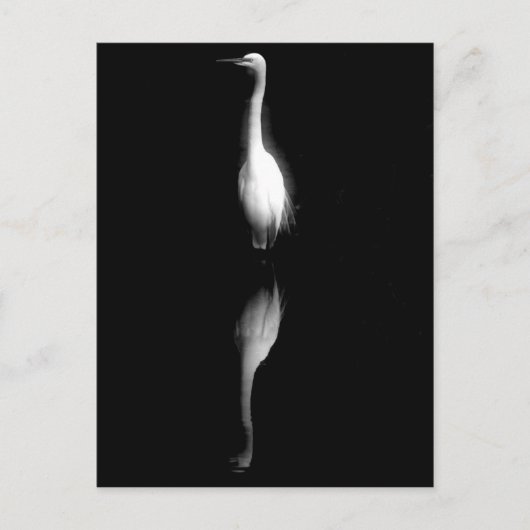 Zwart-witte kraan Foto Briefkaart (Voorkant)