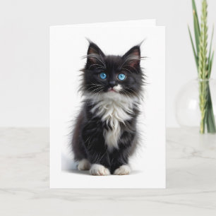 Zwart-witte langharige kat blauwe ogen leeg kaart