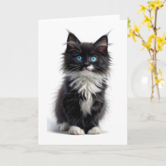 Zwart-witte langharige kat blauwe ogen leeg kaart (Gele Bloem)