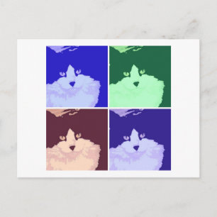 Zwart-witte langharige kat briefkaart