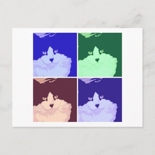 Zwart-witte langharige kat briefkaart (Voorkant)