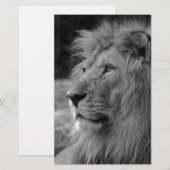 Zwart & Witte Leeuw - Wild Dier Briefpapier (Voorkant / Achterkant)