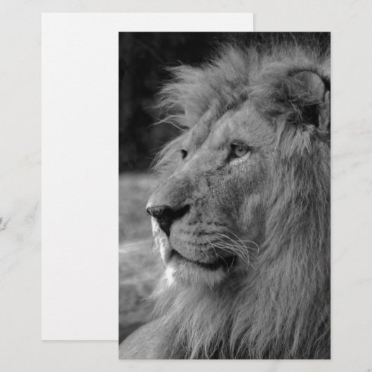 Zwart & Witte Leeuw - Wild Dier Briefpapier (Voorkant / Achterkant)