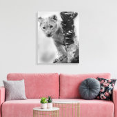 Zwart-witte leeuwenwelpje canvas afdruk (Insitu (Woonkamer))