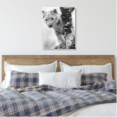 Zwart-witte leeuwenwelpje canvas afdruk (Insitu (Slaapkamer))
