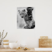 Zwart-witte leeuwenwelpje poster (Keuken)