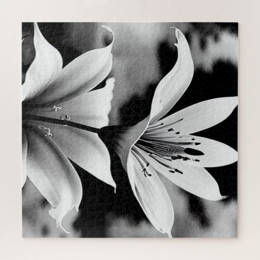 Zwart-witte lelies puzzel legpuzzel (Horizontaal)