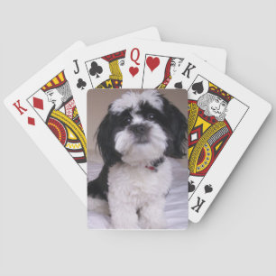 Zwart-witte lhasa Apso-speelkaarten Pokerkaarten