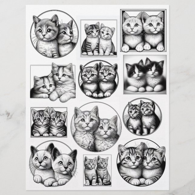 Zwart-witte lijn kunsttekeningen van kittenparen (Voorkant)