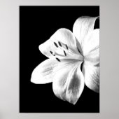 Zwart-witte Lily Poster (Voorkant)