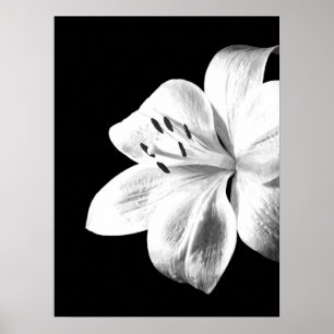 Zwart-witte Lily Poster