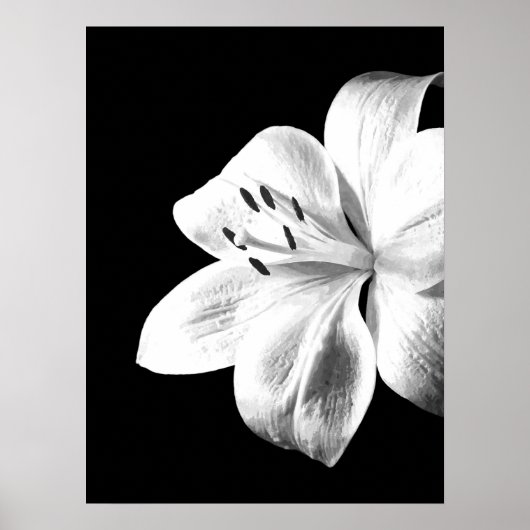 Zwart-witte Lily Poster (Voorkant)