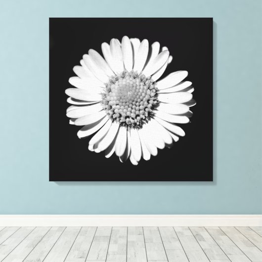 Zwart Witte Madelief Bloem Kunst Botanische Fotogr Canvas Afdruk (Insitu (Houten vloer))