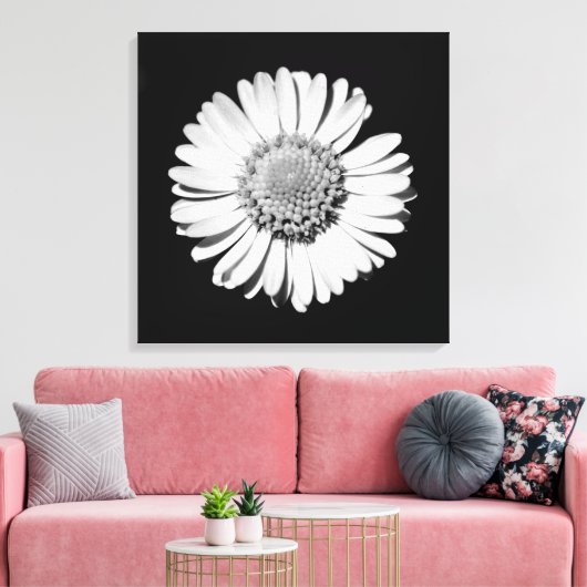Zwart Witte Madelief Bloem Kunst Botanische Fotogr Canvas Afdruk (Insitu (Woonkamer))