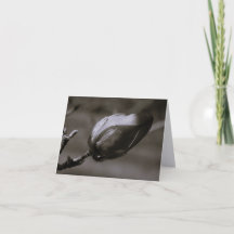 Zwart & Witte Magnolia Knop Minimalistische Kunst