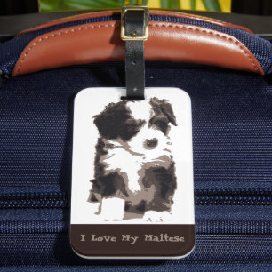 Zwart-witte Maltezer Puppy Hond Bagagelabel