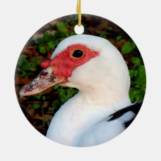 Zwart-witte marjovis Duck Hen Keramisch Ornament (Achterkant)