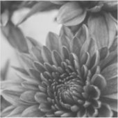 Zwart-witte moeders sticker (Voorkant)