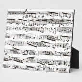 Zwart-witte muzieknoten fotoplaat (Zijkant)